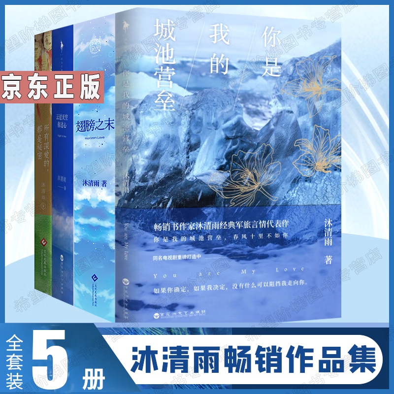 沐清雨青春文学5册你是我的城池营垒 翅膀之末 云过天空你过心 所有深