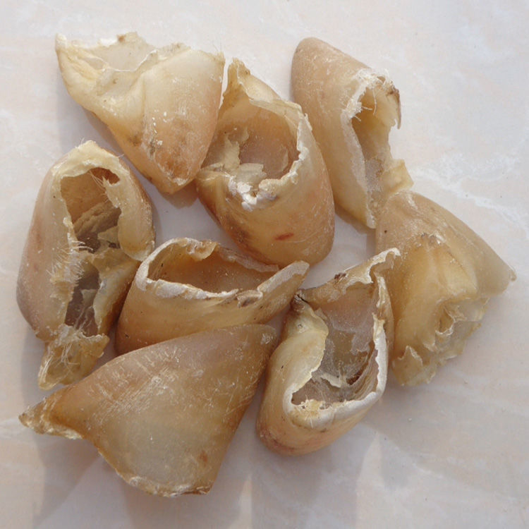 生猪蹄甲 生猪爪甲 生猪退 猪悬蹄 猪蹄合子 猪悬蹄甲中药材 250克