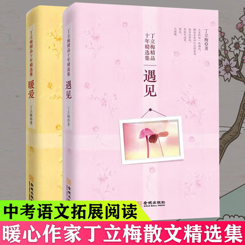 正版 丁立梅精十年作品集套装 遇见 暖爱 全2册 温暖人心图书 中国