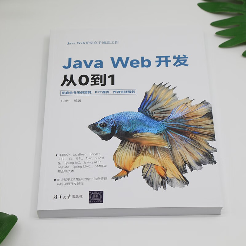 Java Web开发从0到1