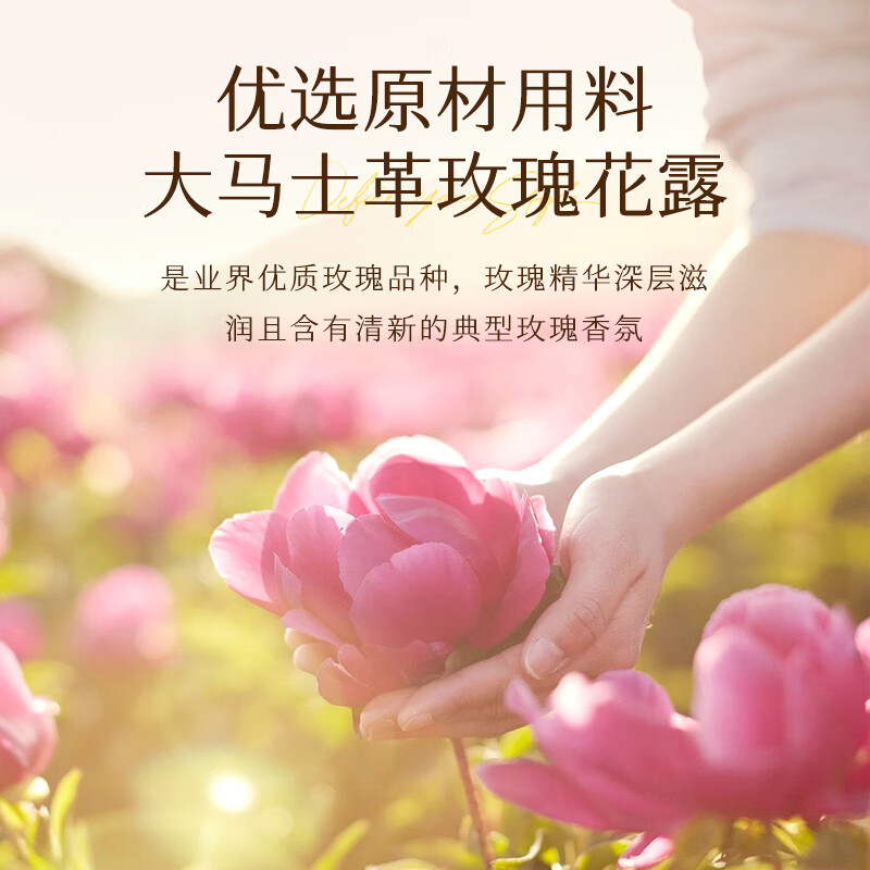 碧素堂大马士革玫瑰花水纯露补水保湿柔润肌肤爽肤水湿敷精华水 1000ml 【焕颜】嫩肤提亮