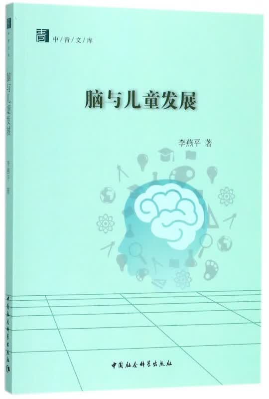 脑与儿童发展/中青文库