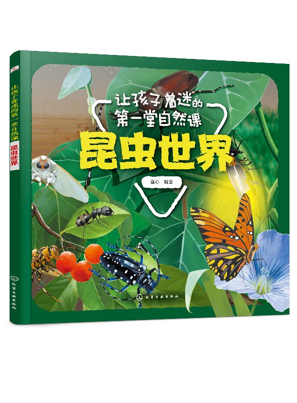 让孩子着迷的第一堂自然课——昆虫世界