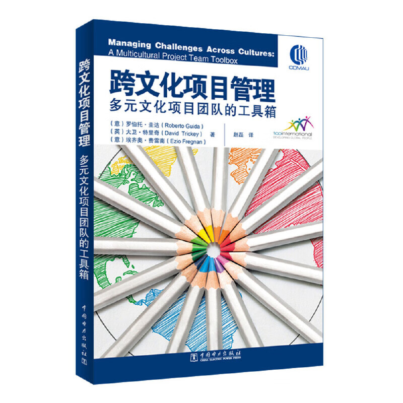 跨文化项目管理(多元文化项目团队的工具箱)