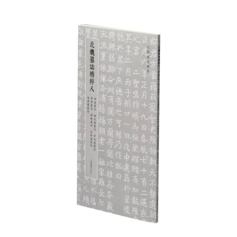 北朝墓志精粹· 北魏墓誌精粹八