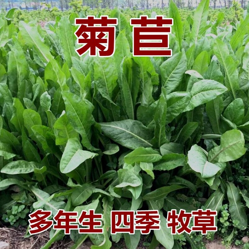 查看花草林木类价格走势用什么App|花草林木类价格比较