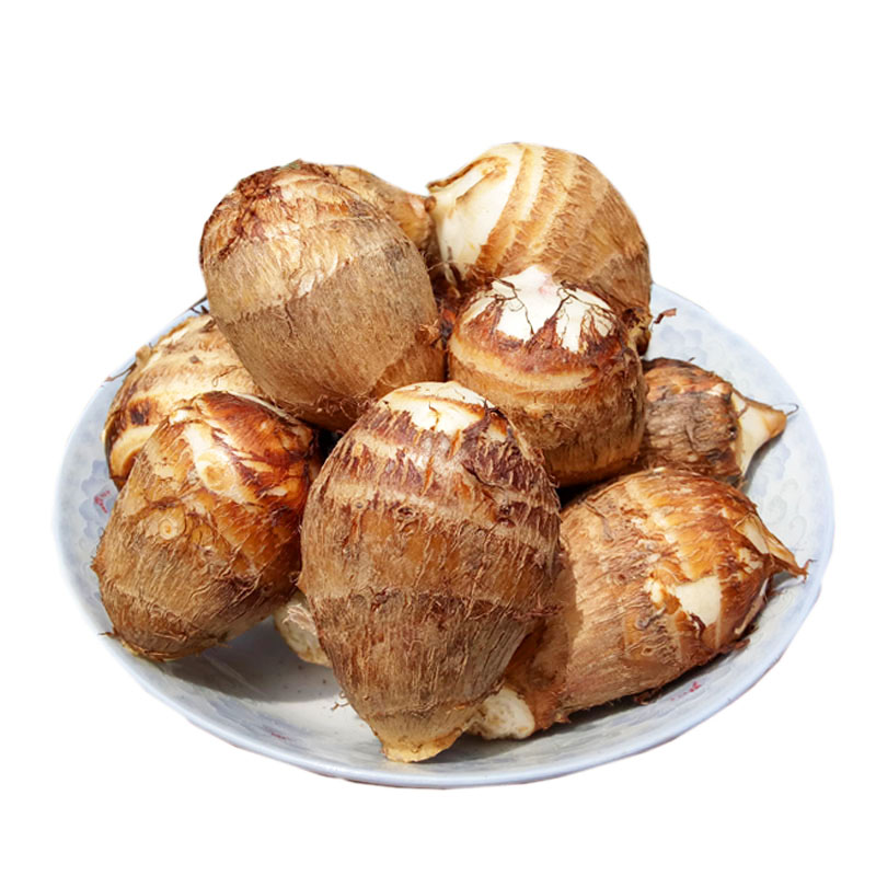 甜芋果月牛奶小芋头新鲜软糯香滑芋艿芋子竽头农家香芋 2500g
