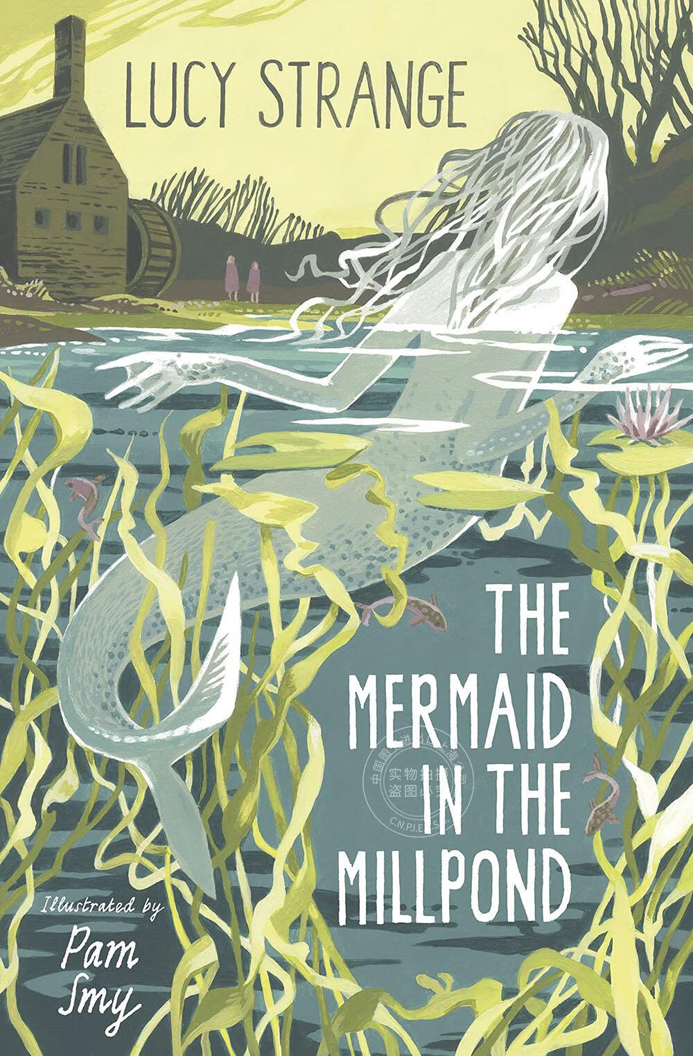现货  磨坊水池里的美人鱼 英文原版 the mermaid in the millpond