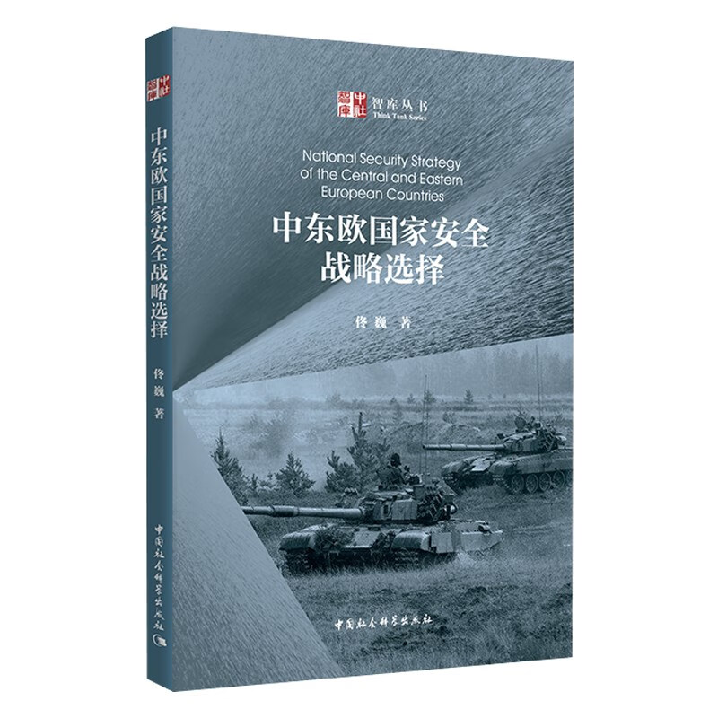 中东欧国家安全战略选择