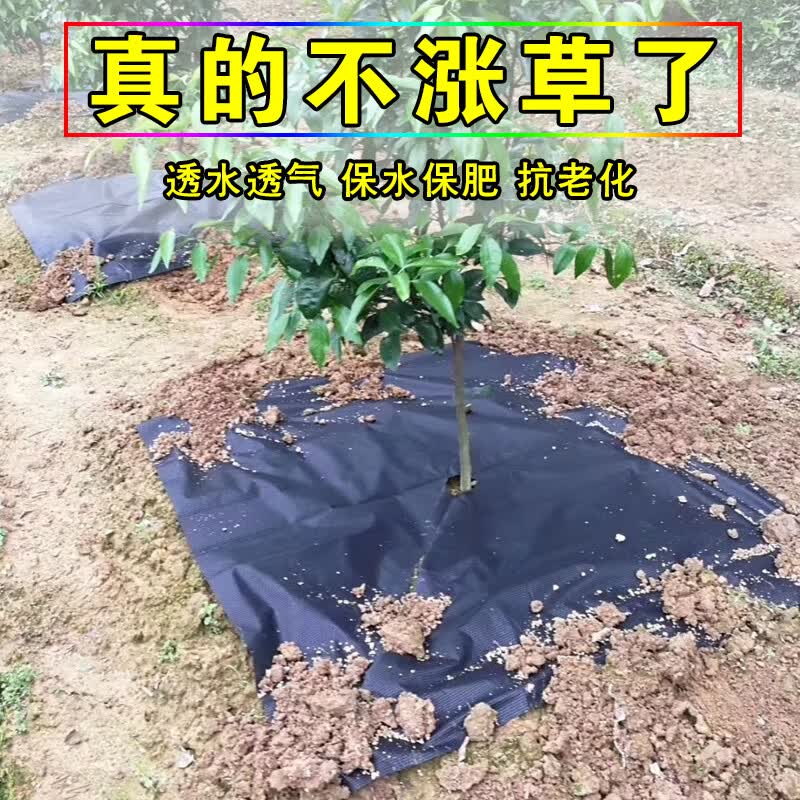 生态双面色防草布除草布果树新型农用果园防草除草地布防草布透水 寿命2-3年【0.6x500米】整卷怎么样,好用不?