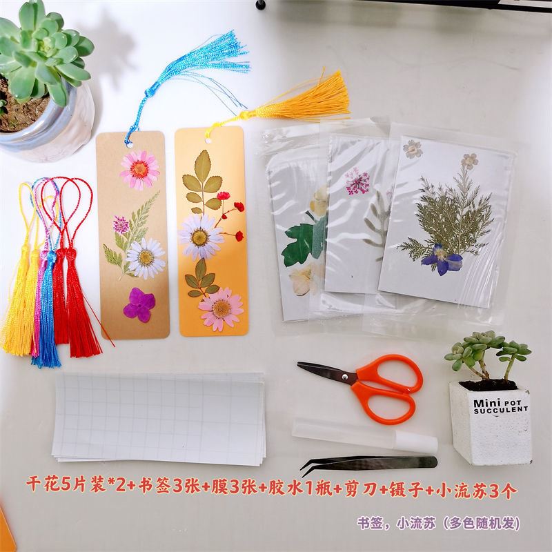 阡囤 干花diy书签材料包自制植物标本天然压花书签学生活动手工制作 5