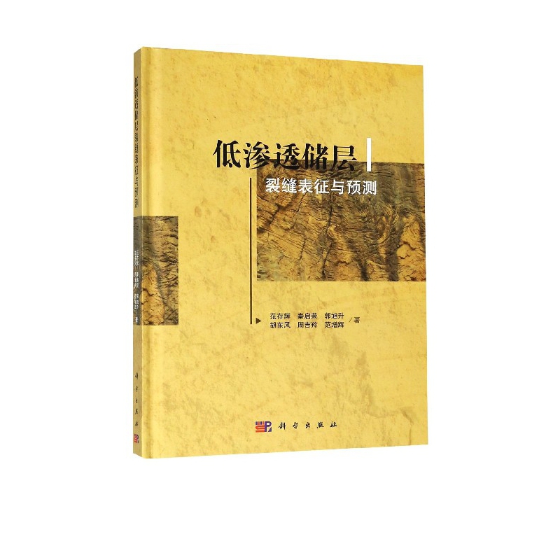低渗透储层裂缝表征与预测(精)