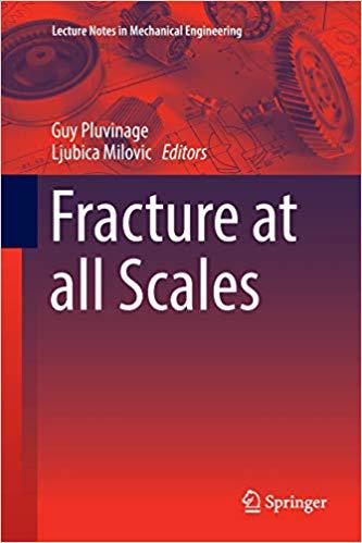 【预订】fracture at all scales (softcover