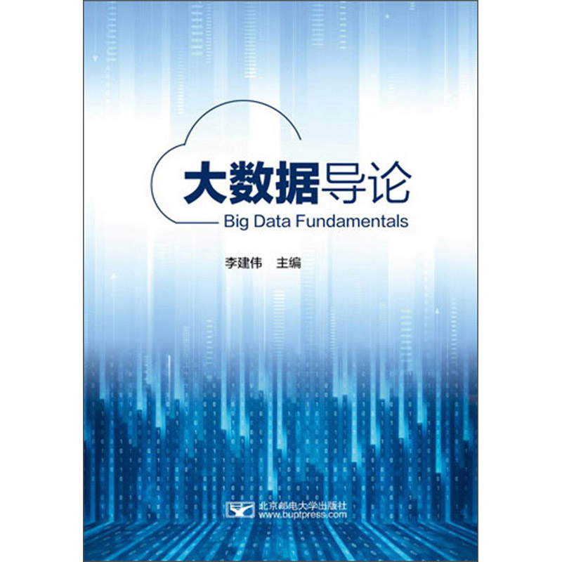 大数据导论详情图