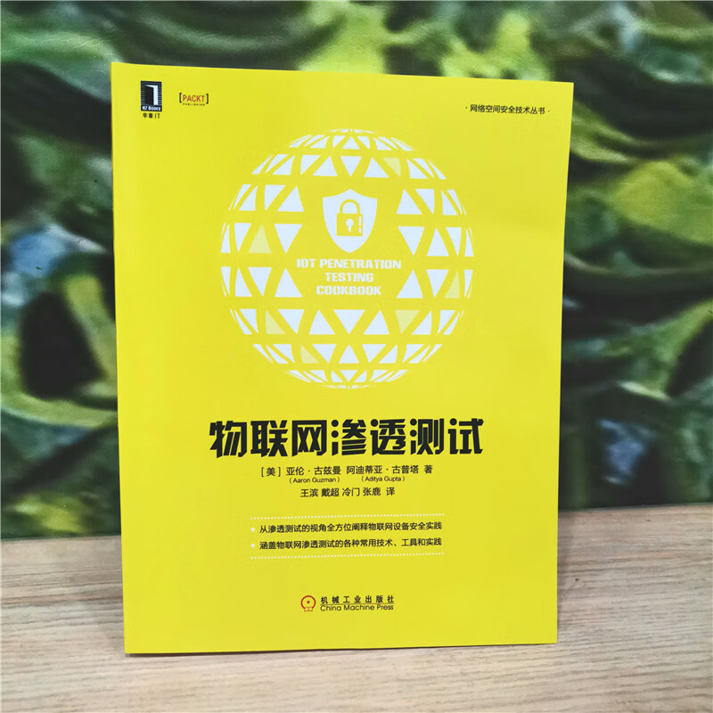 物联网渗透测试详情图