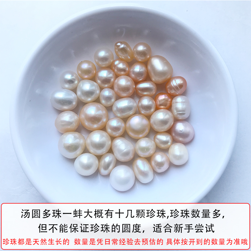 QSZB高端品質(zhì)珍珠蚌自己開河蚌鮮活開蚌取珍珠特大自己養(yǎng)殖今年流行款 湯圓多珠新手 每個蚌15顆以