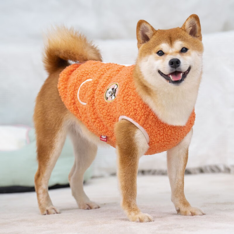 宠物鞋服怎么才能买到最低价|宠物鞋服价格比较