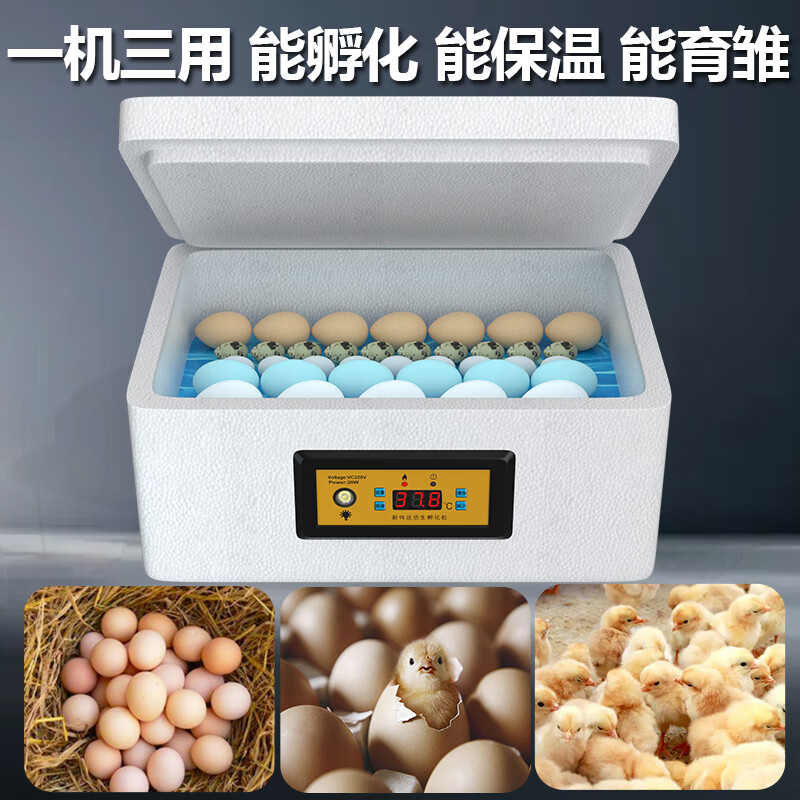 贝柚小鸡孵化器家用全自动孵化器小型水床孵化机鹌鹑孵化箱鸭鹅鸽子小