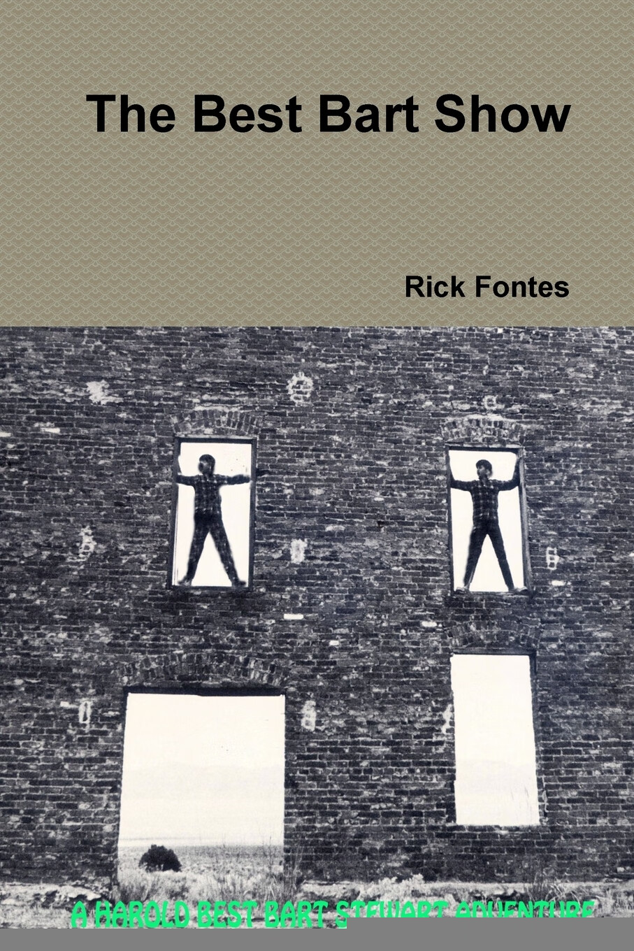 【预售 按需印刷】the best bart show
