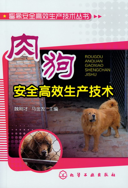畜禽安全高效生产技术丛书--肉狗安全高效生产技术 魏刚才、马金友 主编
