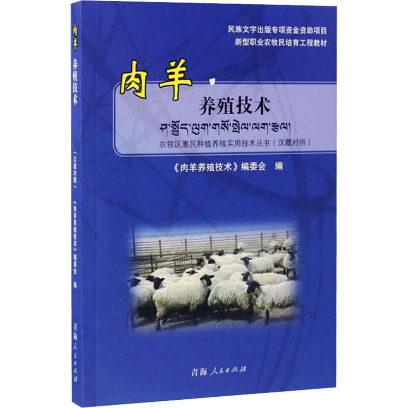 肉羊养殖技术