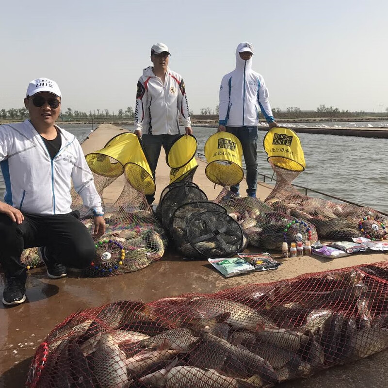 化氏石川鱼饵正宗小黄面饵料腥香味麦芽糖发酵高蛋白散炮黑坑鲤鱼钓饵