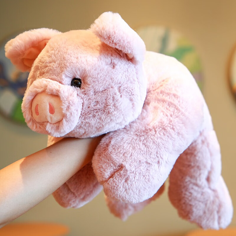 小熊公仔抱抱熊布娃娃玩偶毛绒玩具抱枕女生睡觉女生七夕礼物 小猪 50