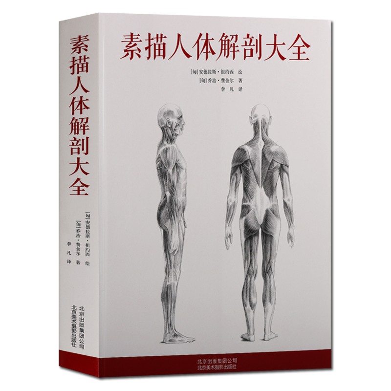 素描人体解剖大全 人体素描 素描人体 素