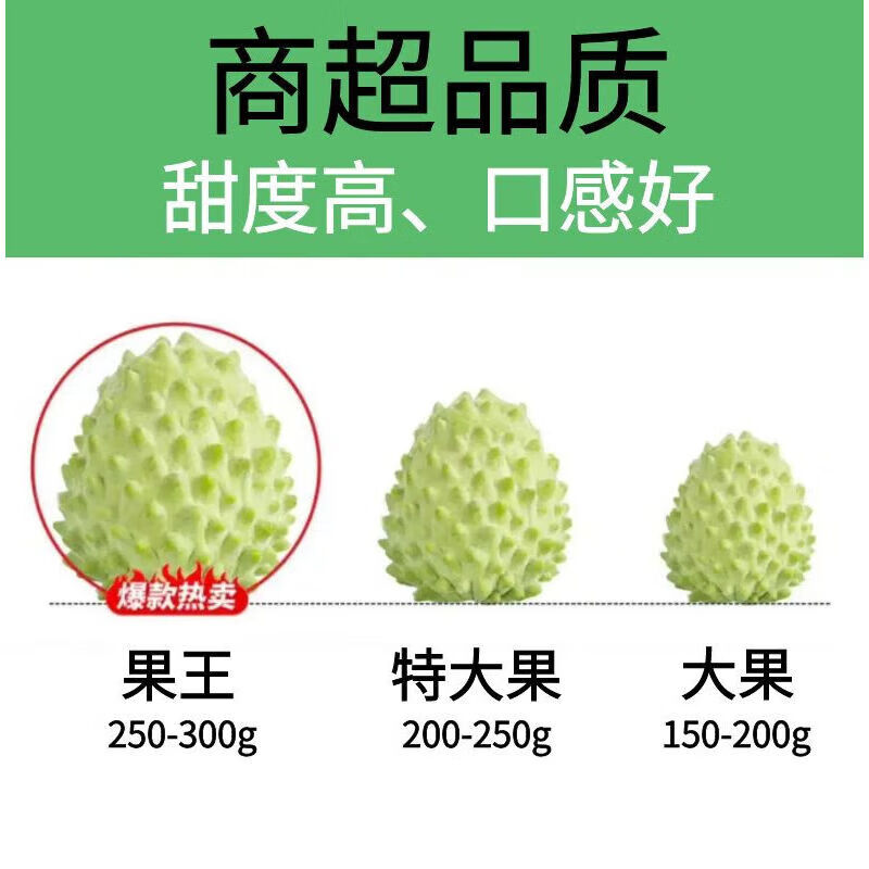 鲜宝道现摘牛奶凤梨释迦 释迦番荔枝佛头果 3斤净重2.5单果150克