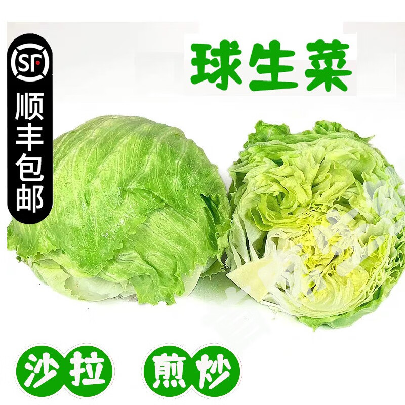 叶菜类历史价格走势|叶菜类价格比较