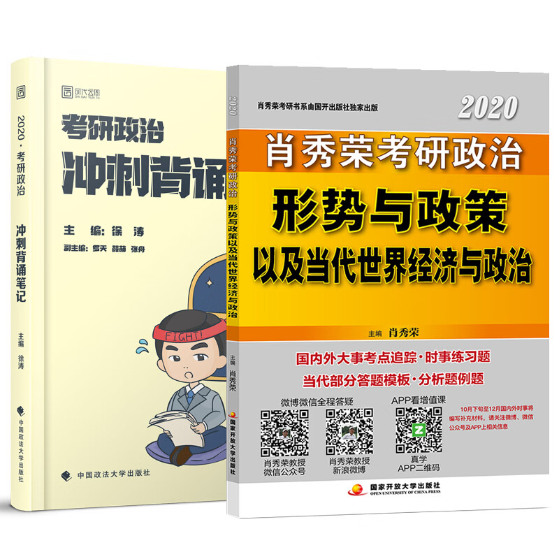 肖秀荣（可搭肖四肖八）+徐涛2020考研政治 肖秀荣2020考研政治形势与政策+徐涛冲刺背诵笔记 kindle格式下载