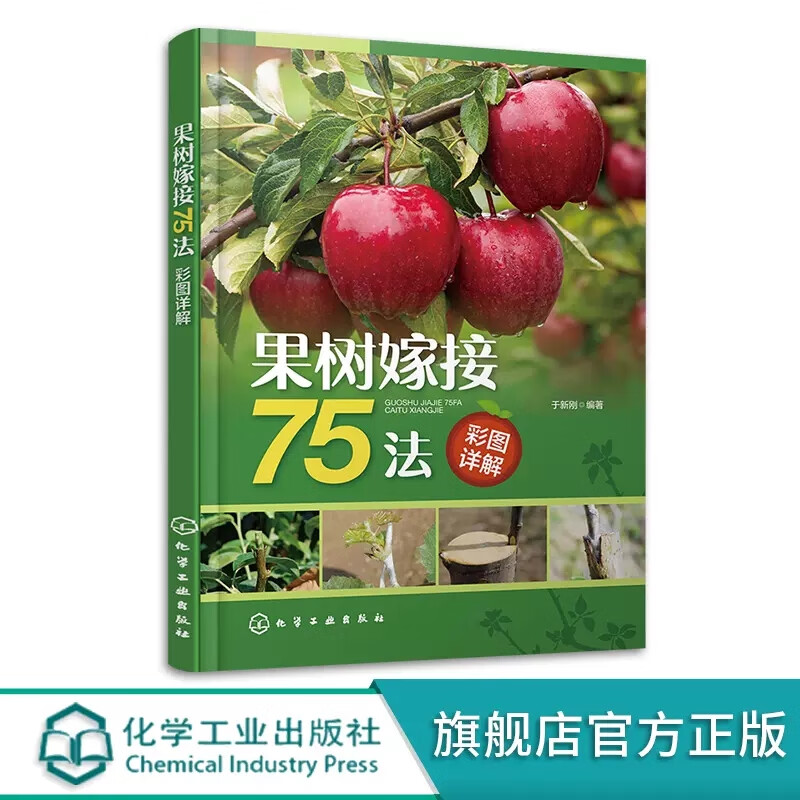 75种嫁接方法近90种具体操作嫁接技术全书 三斜面榫接绿枝单芽嵌接