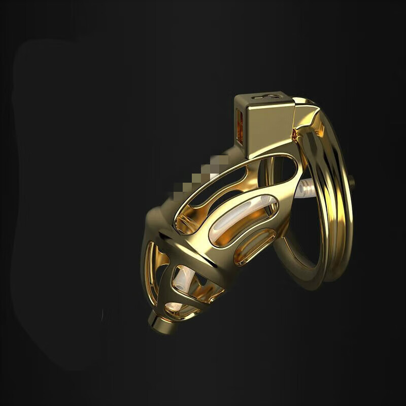 郦狼男用锁sm锁眼镜蛇cb锁情趣戒禁欲器永久 金属锁(配三个卡环)