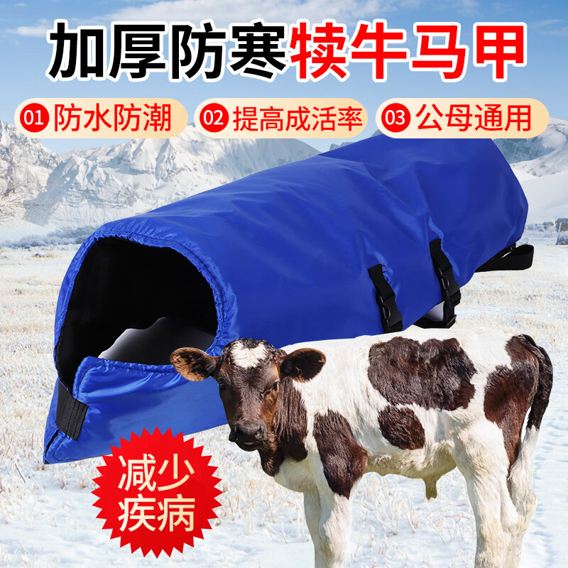 小母牛款(两个月内使用)