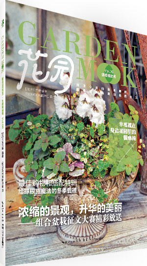 花园MOOK·创意组盆号 家居 书籍