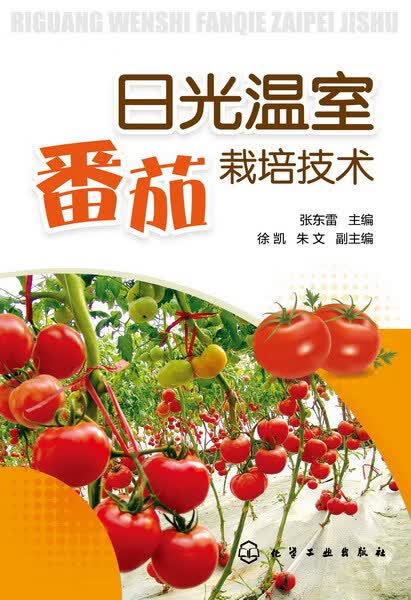 日光温室番茄栽培技术