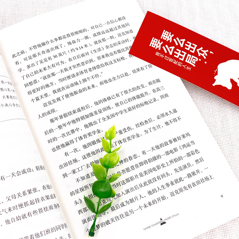 要么出众，要么出局：我不过低配的人生详情图