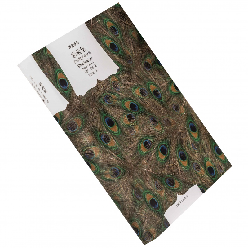 彩画集 阿蒂尔兰波 兰波散文诗全集 译文经典 王道乾翻译 正版书