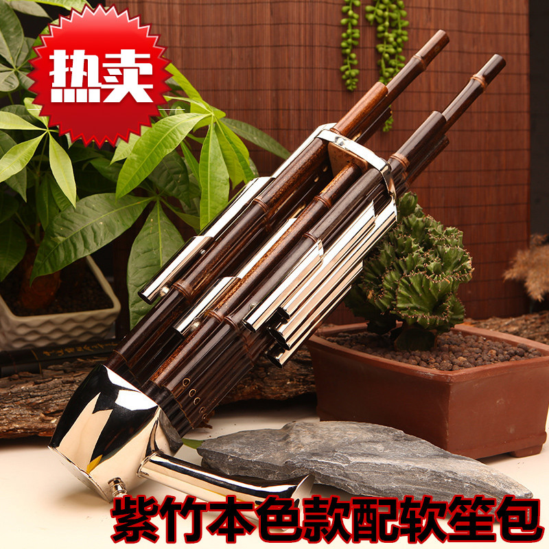 紫竹笙乐器初学者14簧方笙17簧21簧圆笙降e降bcd调扩音笙 14簧方笙