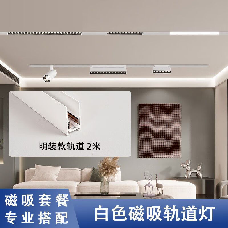 ZOVE组合白色磁吸轨道灯套餐led嵌入式明装无主灯客厅智能格栅泛光灯 白色款-加厚磁吸轨道-预埋款 白色-2米单排-套餐A高性价比高么？