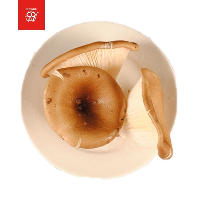 新鲜猪肚菌高原特产猪肚菇大伞菌喇叭菇漏斗菇口感嫩滑新鲜食用菌