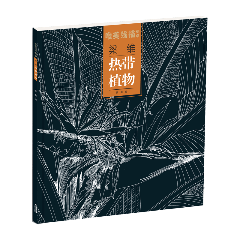 梁维.热带植物-唯美线描精选