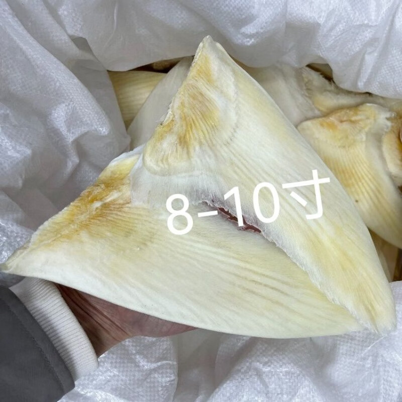 干货鱼翅乌羊骨翅鱼翅8-14寸鱼翅滋补美食足干家用餐饮食材 8-10寸250