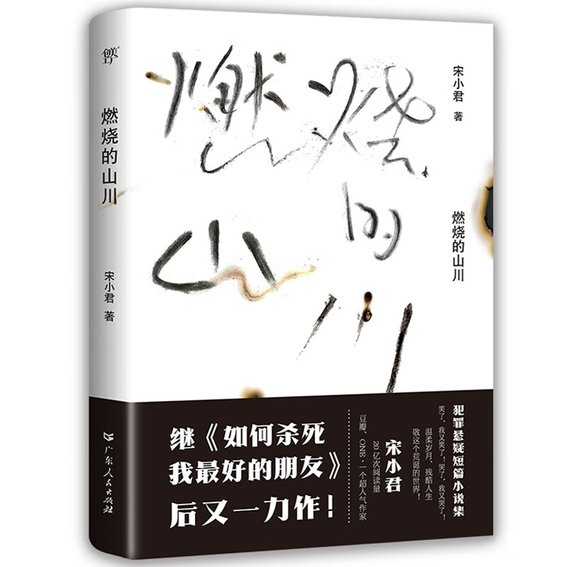 燃烧的山川 继《如何杀死我最好的朋友》后