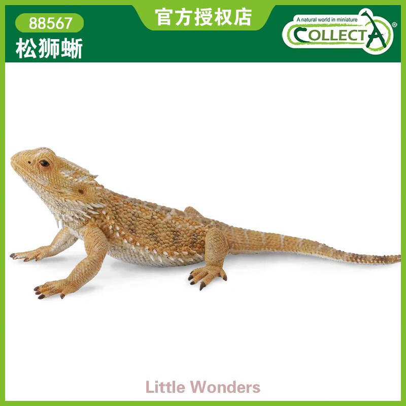 贝木惠英国collecta我你他仿真野生昆虫爬虫玩具88567松狮蜥蜥蜴鬃狮
