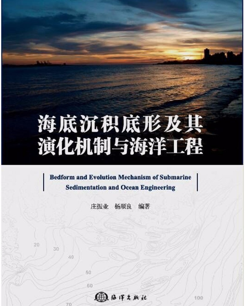 海底沉积底形及其演化机制与海洋工程