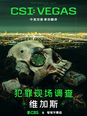 犯罪现场调查：维加斯