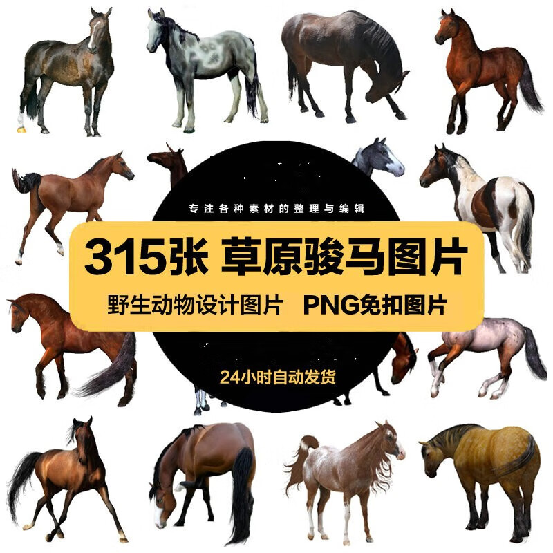 高清图片草原奔跑的骏马野马宣传广告png免扣透明ps设计美工素材 标准