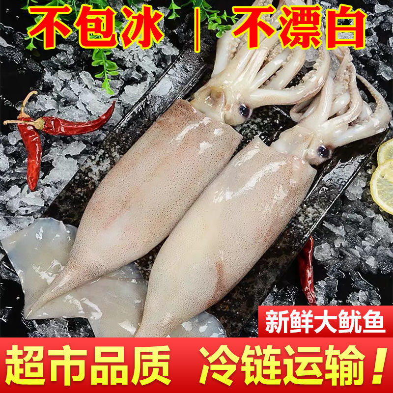 皇波纳特鱿鱼新鲜冷冻大鱿鱼冻鱿鱼片整只鱿鱼烧烤食材 海鲜水产 皇波
