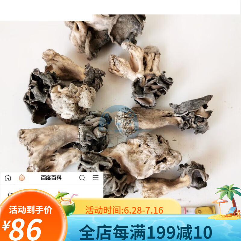 佳士禾新货极限挑战宝藏行新疆巴楚蘑菇皱柄羊肚菌 50g 干货 胡杨沙漠